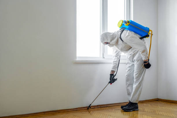 Best Emergency Pest Control  in Montura, FL