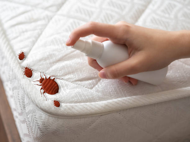 Best Residential Pest Control  in Montura, FL