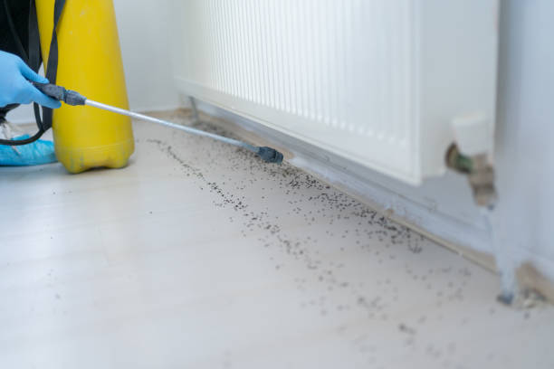 Best Mosquito Control Services  in Montura, FL