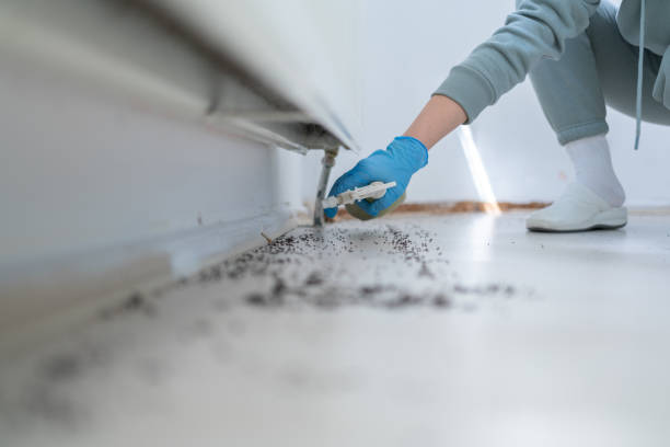 Best Residential Pest Control  in Montura, FL